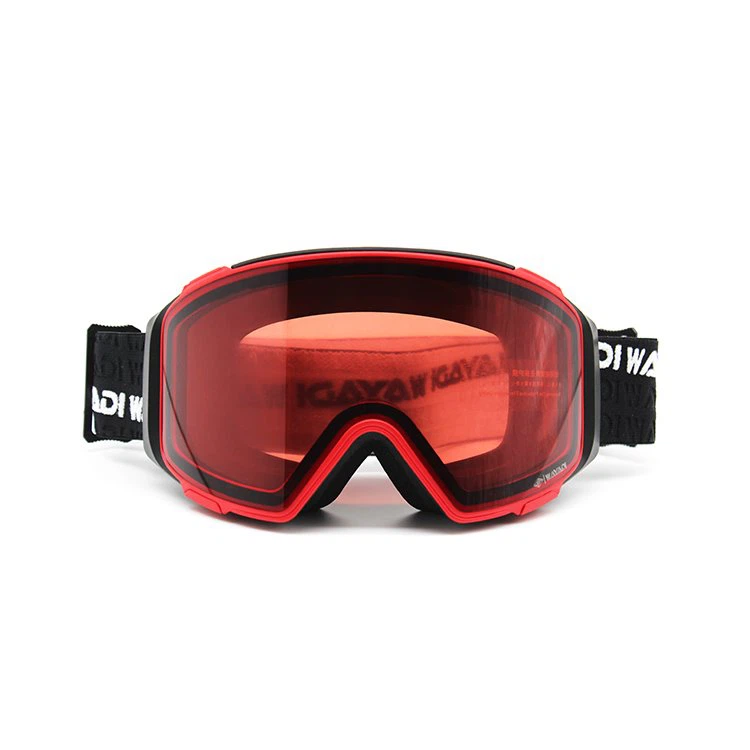 Fog Proof Ski Goggles