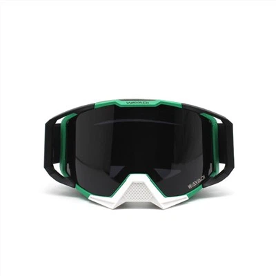 Polarized Motocross Goggles